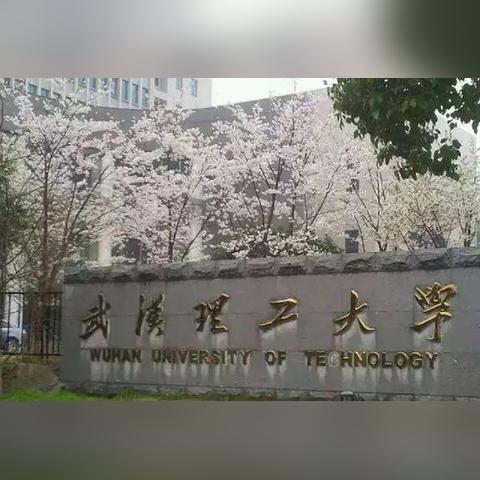 武汉市有什么院校