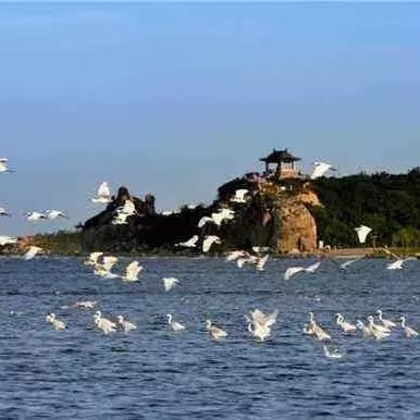 济南到北戴河跟团相关长尾关键词有哪些