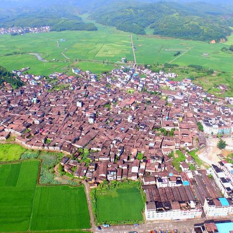 福建南坪在哪个省哪个市