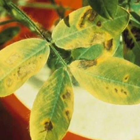 潍坊市哪里卖化肥最多的地方