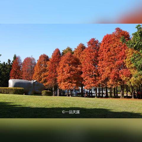 厦门市民有什么好处