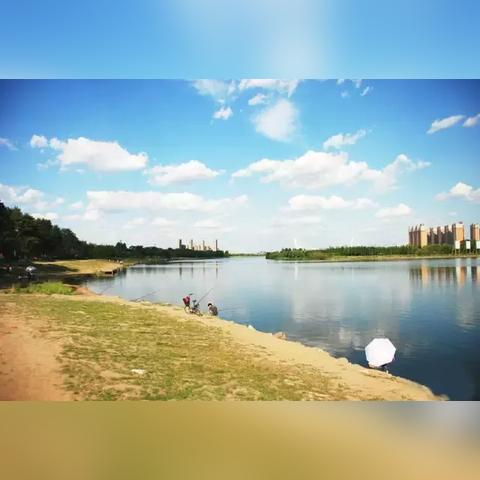 沈阳市青年公园是哪个区