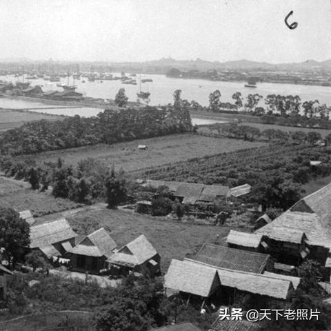 广州市什么时候种蒜