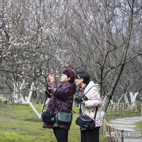 合肥十五日天气查询相关长尾关键词有哪些