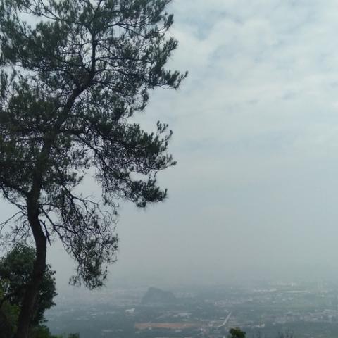 桂林电子科技大学（尧山校区）到市中心多远？