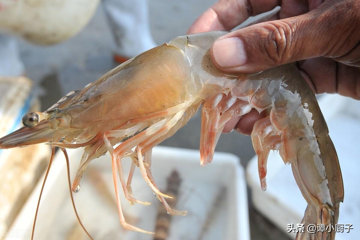 德州美食吃什么（禹城特色小吃是什么）