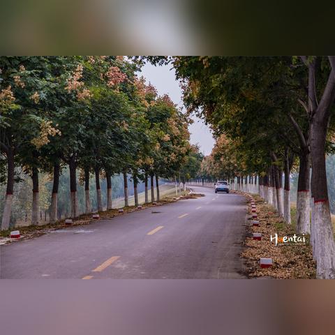 台前县与济南市哪个大