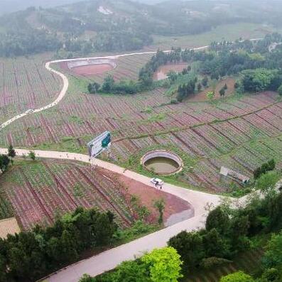 浙江省温州市清江的长尾关键词有哪些