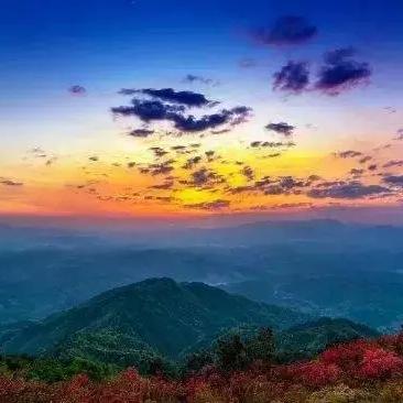 厦门市总面积大约是多少