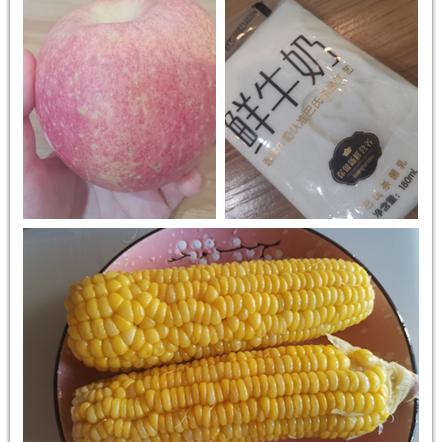 什么是天气中的主要成分