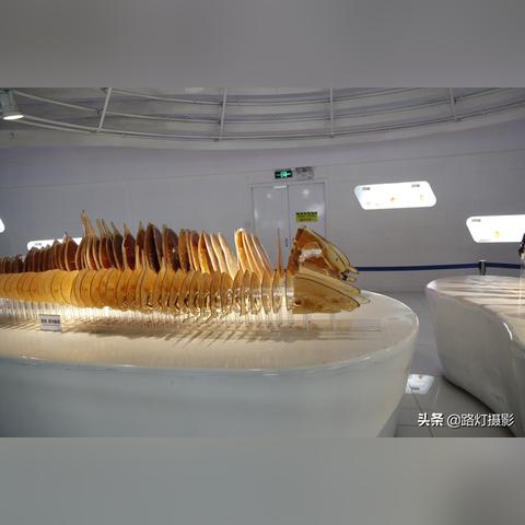 大连金石滩人体奥秘的相关长尾关键词有哪些