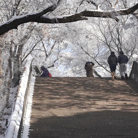沈阳28中学地址相关长尾关键词有哪些
