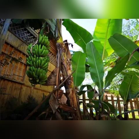 南宁市好庄园农庄怎么样