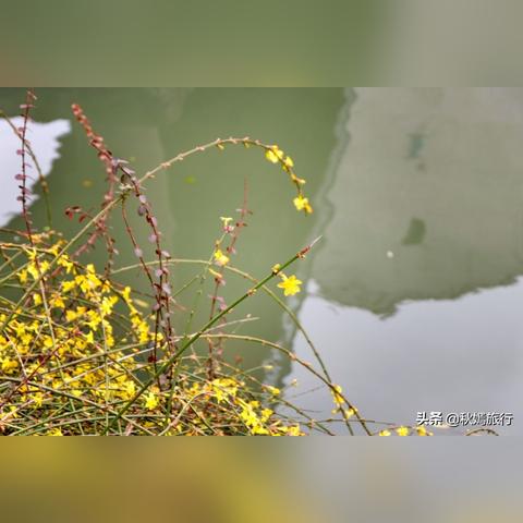 【常熟今日菜价】2025年4月10日常熟菜价是多少