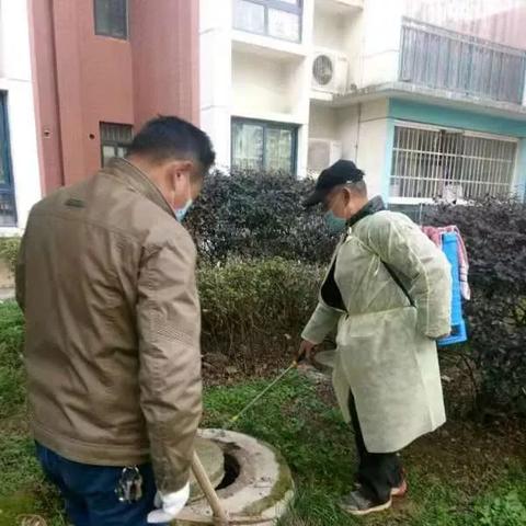 武汉这个季节种什么菜？