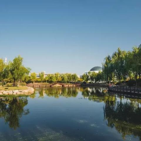 临沂市怎么报名考研培训机构