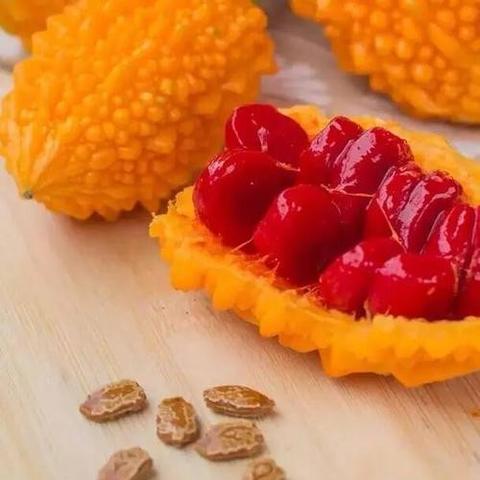 温州市葡萄棚是哪个街道