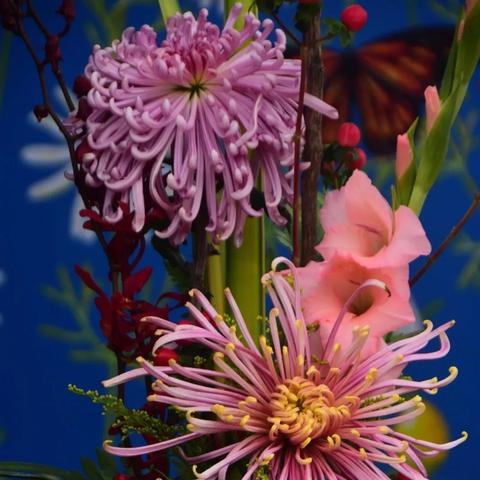 武汉市哪个摄影学校好考