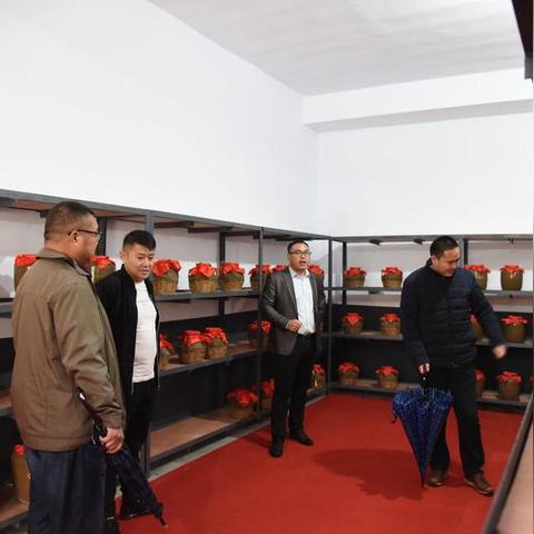 临沂市收老酒的长尾关键词有哪些