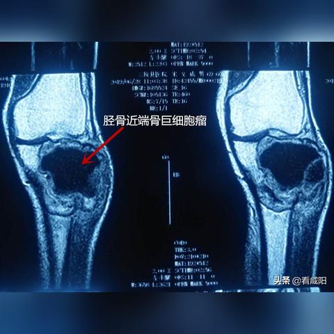 咸阳ai人工智能课程免费培训的相关长尾关键词有哪些