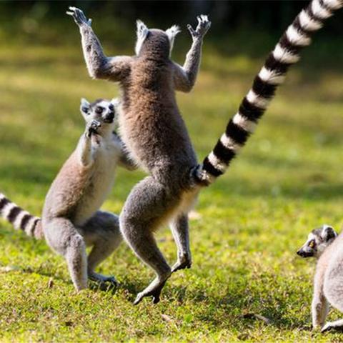 武汉弹簧公司的长尾关键词有哪些