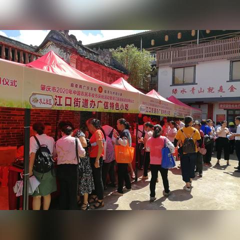 肇庆种什么水果好