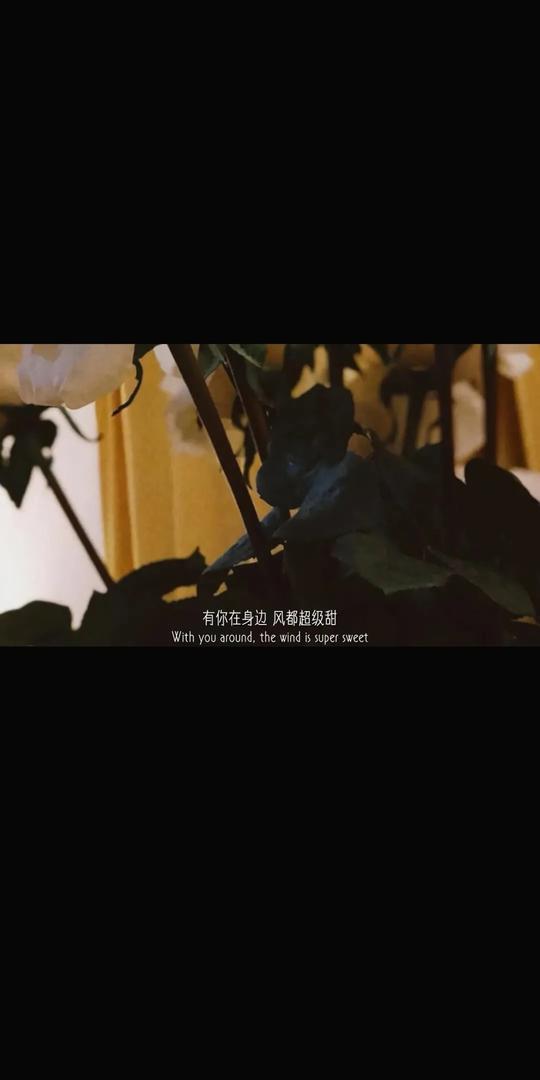 抖音文字语录壁纸图片大全