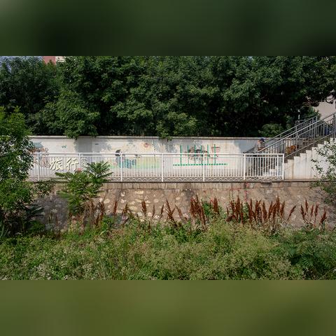 天津东疆港发展怎么样