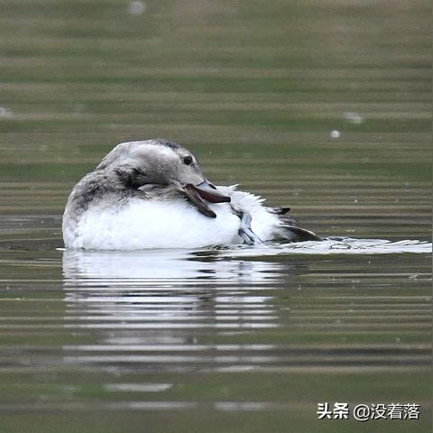 韩国电影沙河什么电影的长尾关键词有什么