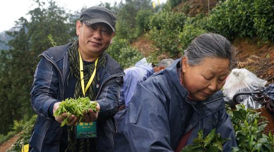 都说卖茶叶赚钱，你知道1斤茶叶的成本是多少吗？看完你也会算