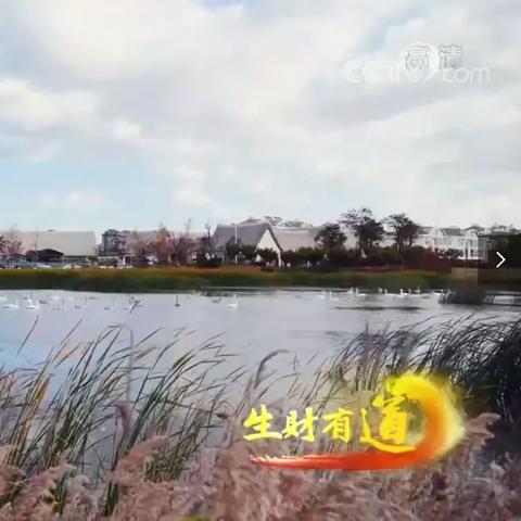 王牌人工智能怎么样