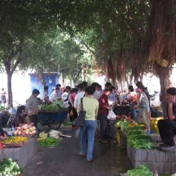 南宁最大菜市场有几个？