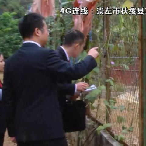 南宁酒店图片大全的相关长尾关键词有哪些