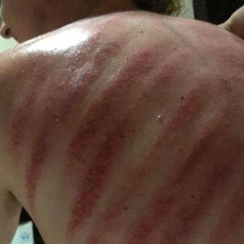 上海网红夫妇有哪些