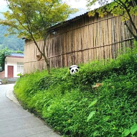 鸡冠山气温的长尾关键词有哪些