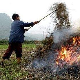 乐山天津天气怎么样
