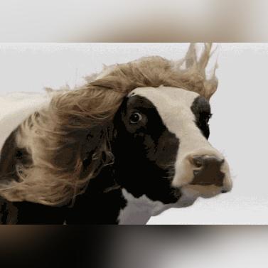 生肖蛇运势查询每月运程(生肖蛇运势及运程)