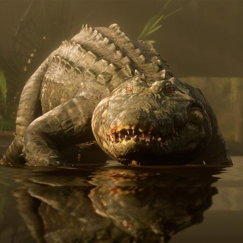 荒野大镖客2中文地图（荒野大镖客2中文地图，探索无尽的西部世界）