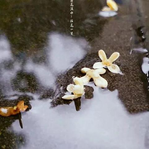 九月底上海什么天气