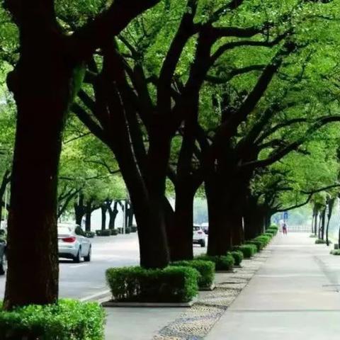 广州市黄石东路属什么镇