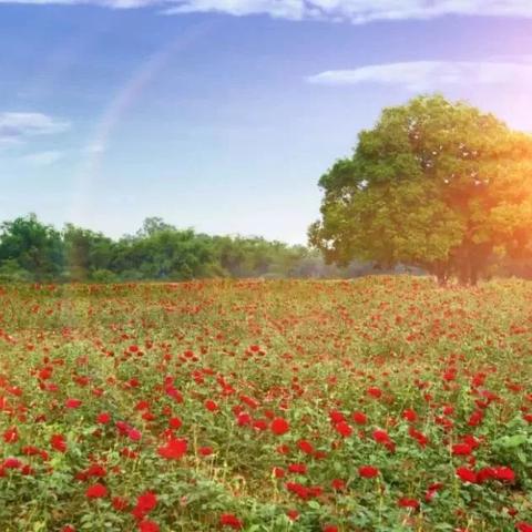 南宁市美丽南方怎么去