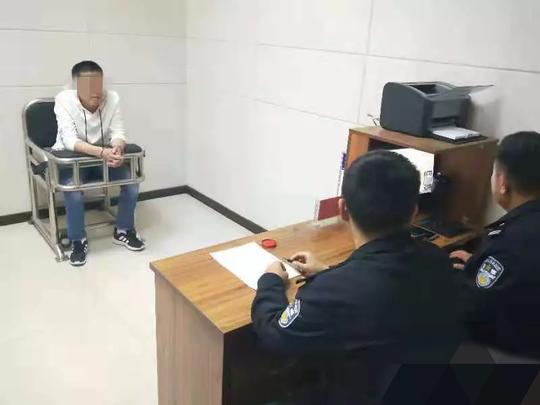 这可不是小事！网购空白临时车牌倒卖，焦作俩业务员被刑拘