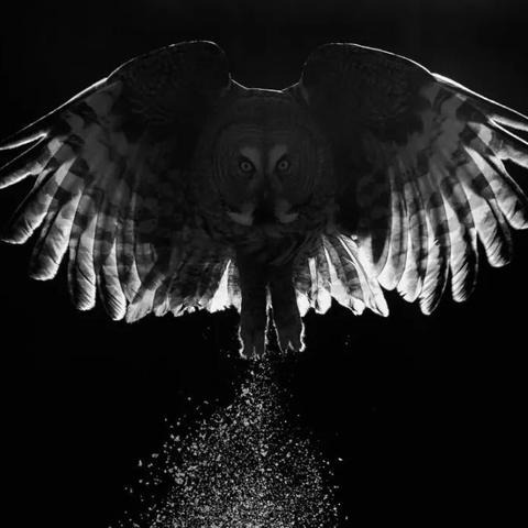 看夕阳武汉的长尾关键词有哪些