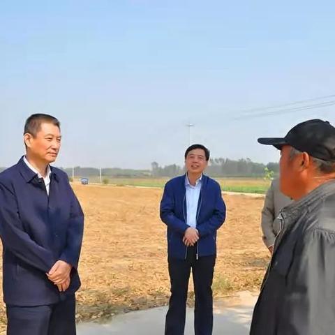 河南省濮阳市档案的相关长尾关键词有哪些