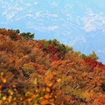 保定市在哪里办理登高证