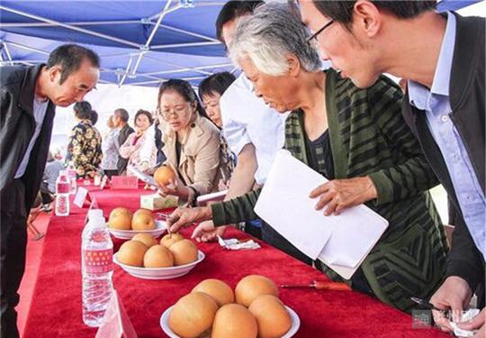阳信鸭梨深加工产品入选“山东省十大优秀妇女创业创新项目”