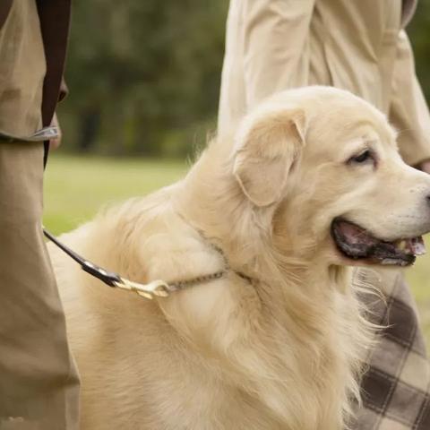 长沙市个人社保查询？