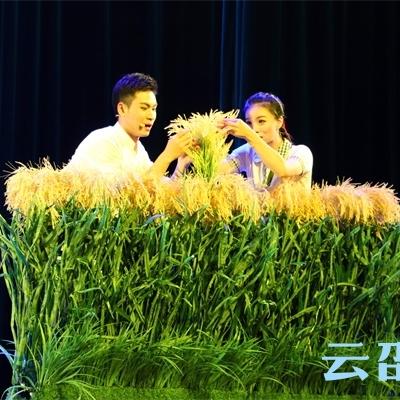 湘中幼儿师范高等专科学校男女比例？