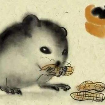 生肖鼠的今日运势吉时(生肖鼠今曰运势)