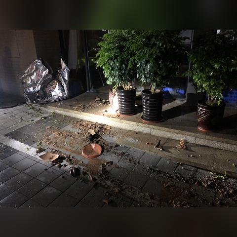 东莞市清溪镇上元哪里招聘宝妈